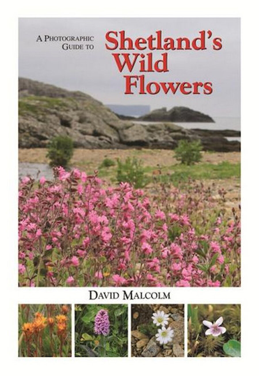 Dr David Malcolm's beautifully illustrated guide is published by The Shetland Times Ltd