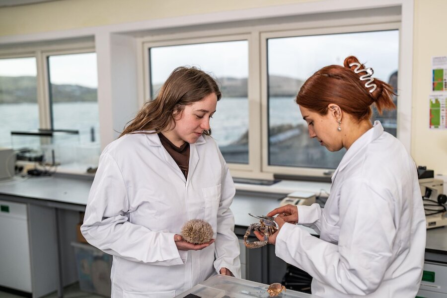 A studentship rooted in Shetland