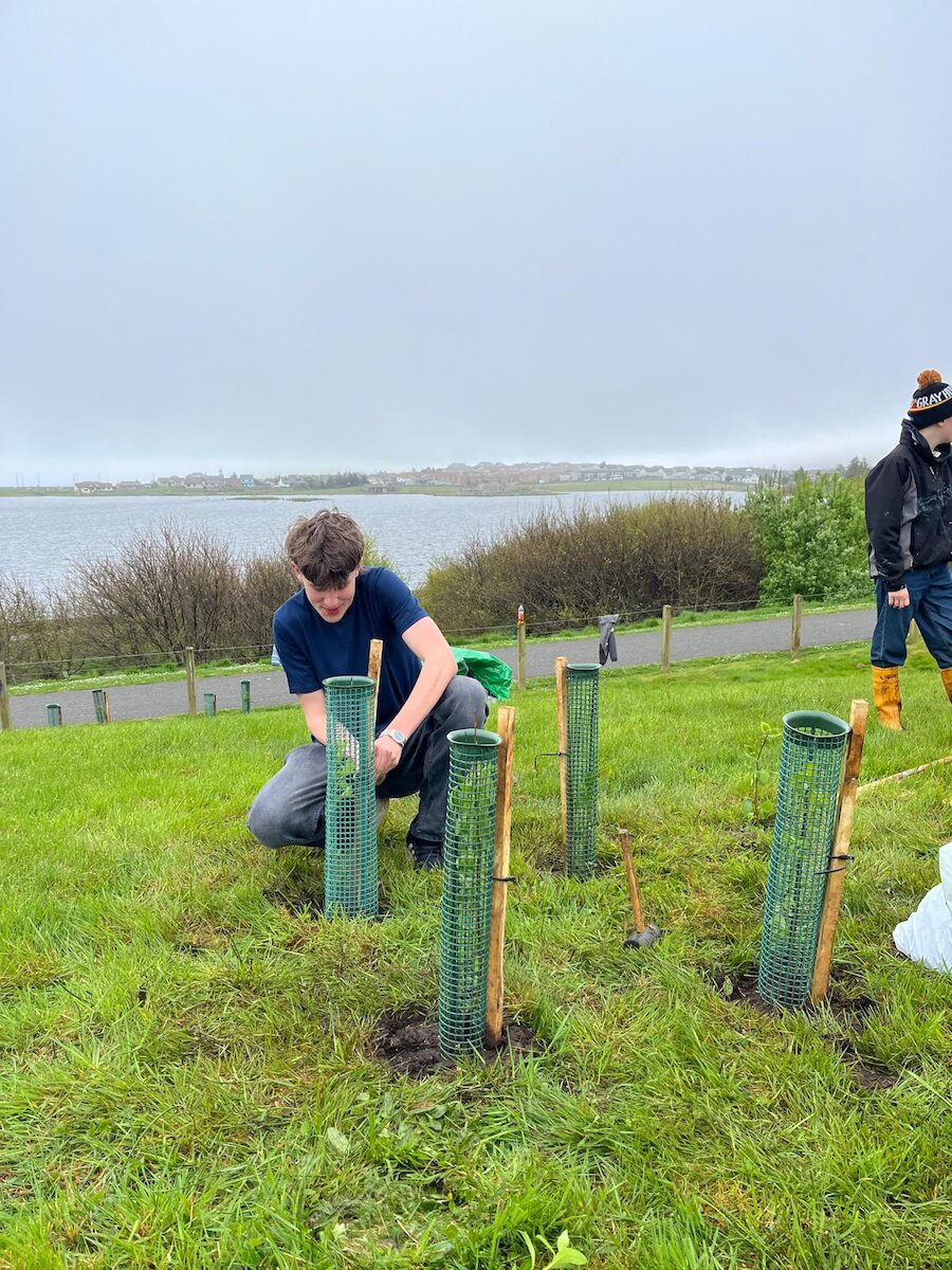 Tree planting projects has taken place in sites around Shetland.