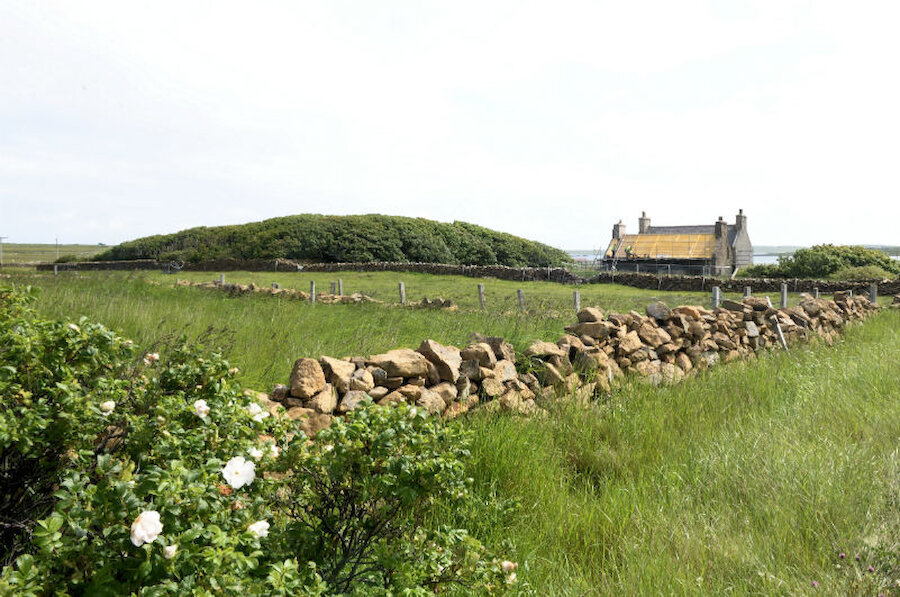 Britain's most northerly tree plantation at Halligarth, in Unst, was created by Dr Laurence Edmondston the younger (Courtesy Alastair Hamilton)