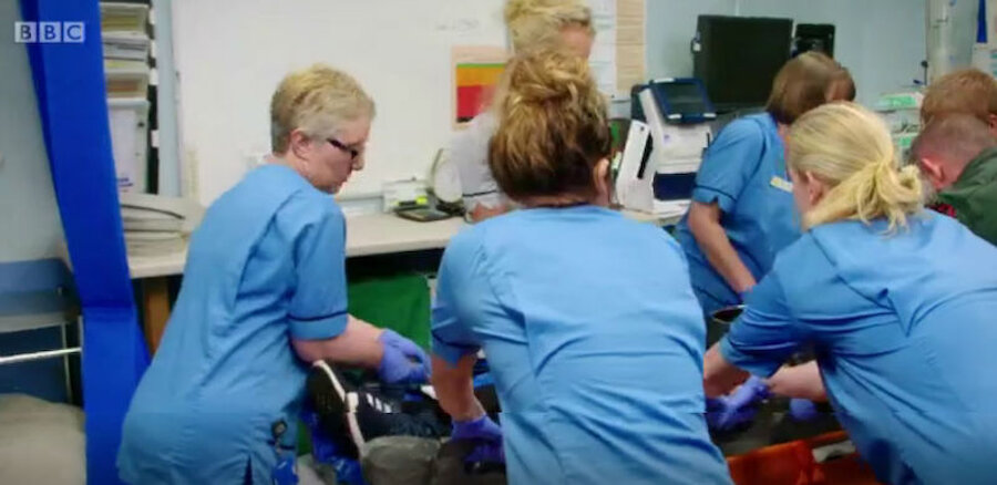 The team in A&E deal carefully with a patient (Courtesy BBC/Red Sky Productions)