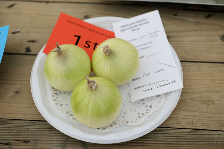 Prizewinning onions (Courtesy Alastair Hamilton)