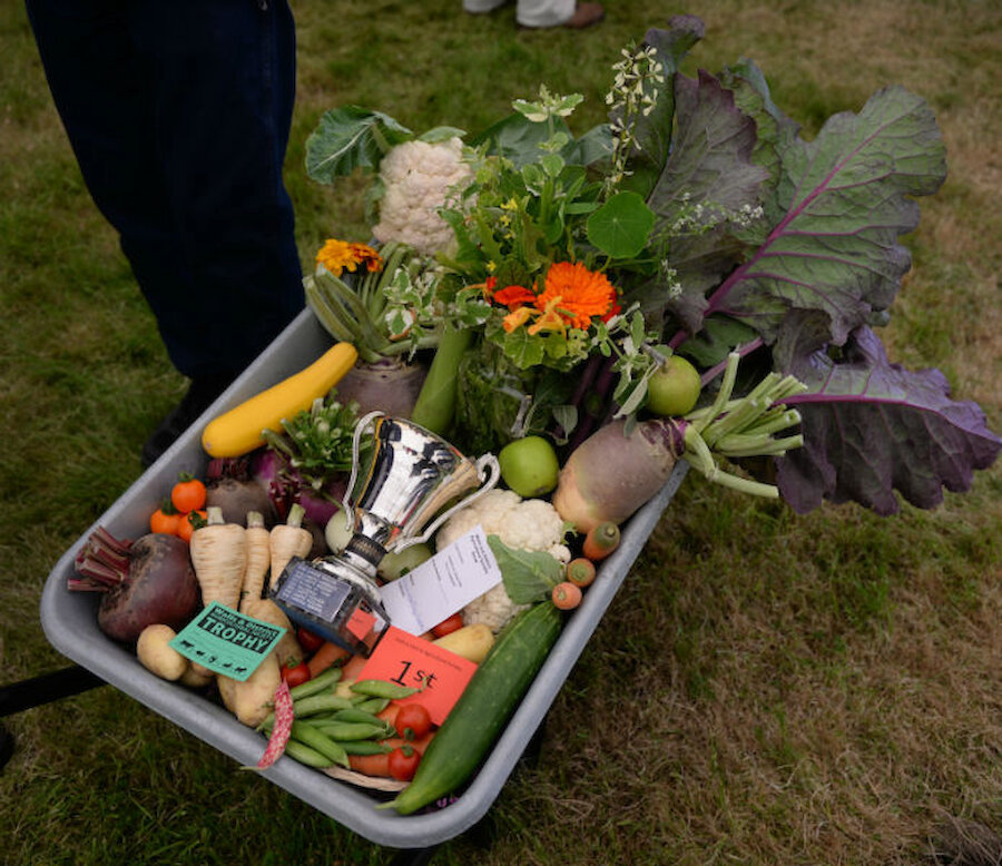 A trophy-winning barrowful of superb vegetables (Courtesy Alastair Hamilton)
