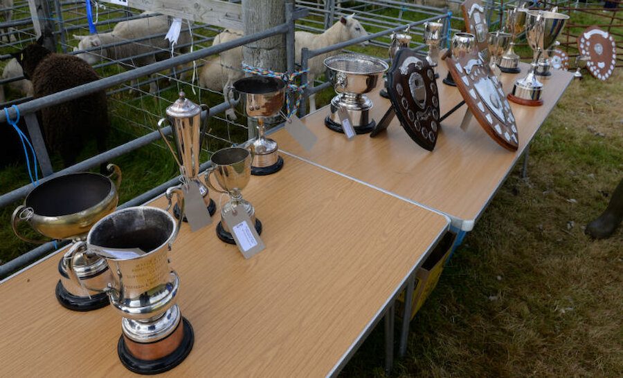 Some of the many trophies (Courtesy Alastair Hamilton)