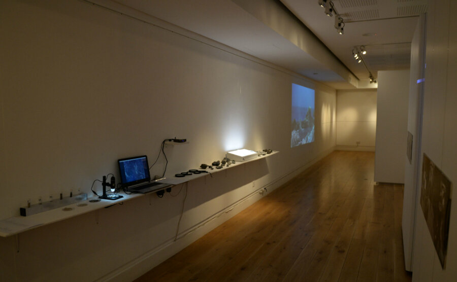 The second exhibition space includes examples of plastics found in the sea and a video is shown. (Courtesy Alastair Hamilton)