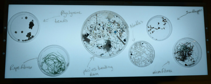 A lightbox and a microscope allow visitors to examine the smaller plastic fragments. (Courtesy Alastair Hamilton)